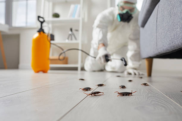 Commercial Kitchen Cockroach Control in West Hattiesburg